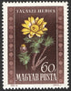 #906-910 Hungary - Flowers (MNH)