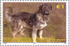 #45-49 Kosovo - Fauna (MNH)