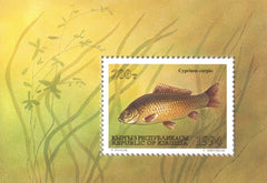 #52 Kyrgyzstan - Fish S/S (MNH)