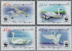 #503-506 Kyrgyzstan - Worldwide Fund For Nature (WWF): Whopper Swans, Set of 4 (MNH)