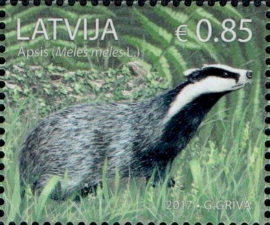 #967 Latvia - Meles Meles (European Badger) (MNH)