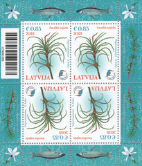 #1000 Latvia - Najas Tenuissima M/S (MNH)