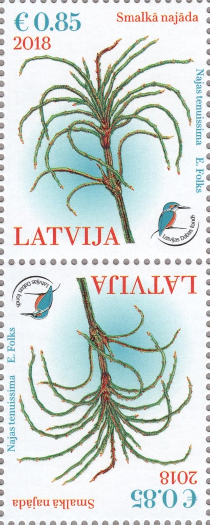 #1000 Latvia - Najas Tenuissima, Tete-Beche Pair (MNH)