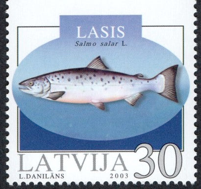 #576a Latvia - 2003 Fish, Booklet Single (MNH)