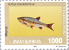 #8-11 Macedonia - Fish, Set of 4 (MNH)
