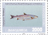 #8-11 Macedonia - Fish, Set of 4 (MNH)