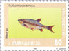 #8-11 Macedonia - Fish, Set of 4 (MNH)