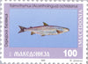 #8-11 Macedonia - Fish, Set of 4 (MNH)