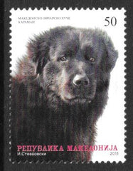 #556 Macedonia - Macedonian Shepherd (MNH)