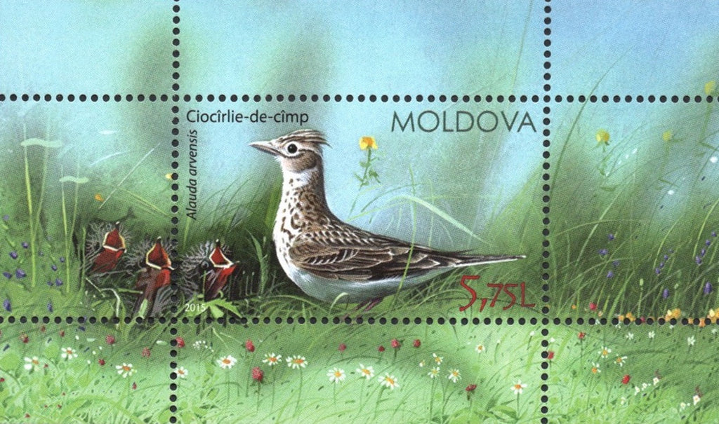 #882 Moldova - 2015 Birds of Moldova IV S/S (MNH)