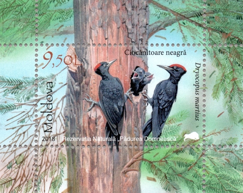 #979 Moldova - Fauna of Padurea Domneasca Nature Reserve S/S (MNH)