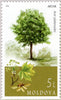 #971-974 Moldova - Trees, Set of 4 (MNH)