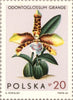 #1346-1354 Poland - Orchids (MNH)