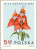 #1346-1354 Poland - Orchids (MLH)