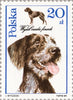 #2900-2905 Poland - Dogs (MNH)