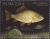 #4245-4248 Poland - Fishes Threatened by Extinction, Set of 4 (MNH)