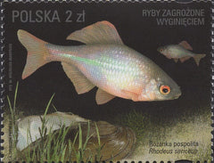 #4245-4248 Poland - Fishes Threatened by Extinction, Set of 4 (MNH)