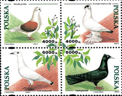 #3215 Poland - Birds, Block of 4 (MNH)