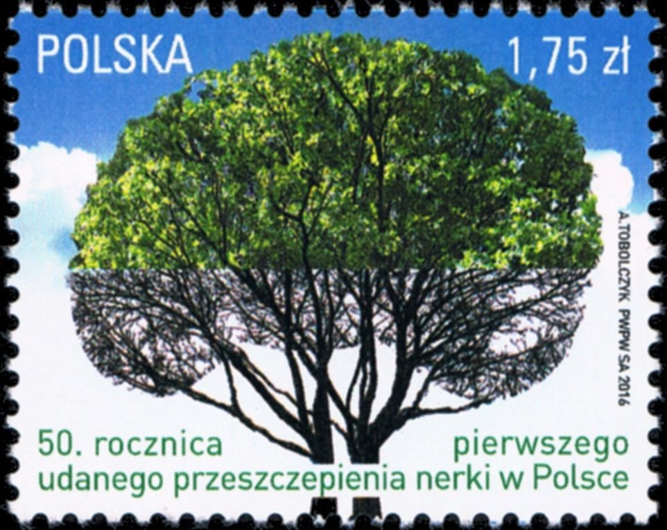 #4213 Poland - First Successful Kidney Transplant in Poland, 50th Anniv. (MNH)