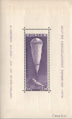 #B31 Poland - Stratosphere Balloon over Mountains S/S (MNH)