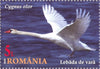 Romania - 2020 The Danube Delta Swans, Set of 4 (MNH)