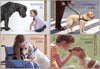 Romania - 2021 Dog, Man's Best Friend, Set of 4 (MNH)