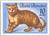 #1729-1736 Romania - Cats in Natural Colors (MLH)