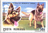 #3610-3617 Romania - Intl. Dog Show, Brno, Czechoslovakia (MNH)
