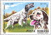 #3610-3617 Romania - Intl. Dog Show, Brno, Czechoslovakia (MNH)