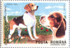 #3610-3617 Romania - Intl. Dog Show, Brno, Czechoslovakia (MNH)