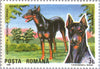 #3610-3617 Romania - Intl. Dog Show, Brno, Czechoslovakia (MNH)