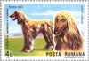 #3610-3617 Romania - Intl. Dog Show, Brno, Czechoslovakia (MNH)