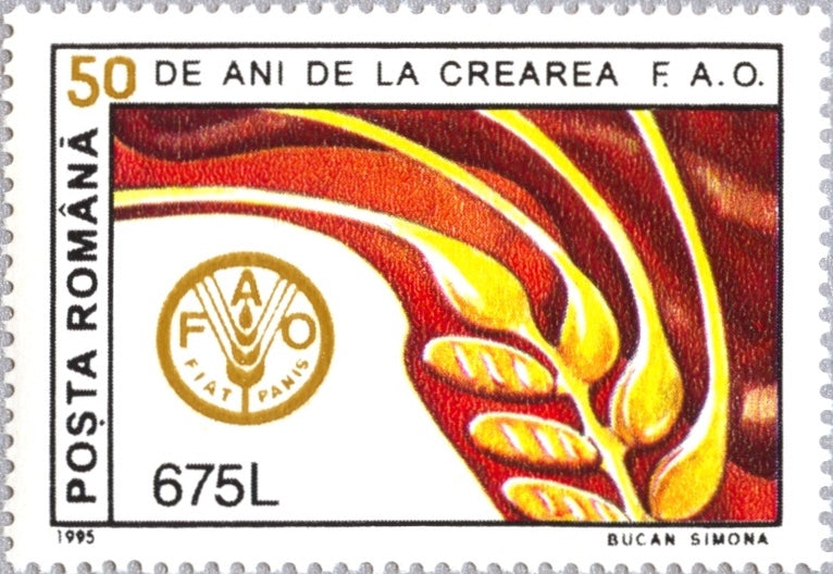 Romania 50 Different Special Stamps – Collector's Set For Philately, Various Designs