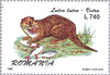 #4135-4140 Romania - Fur-Bearing Animals (MNH)