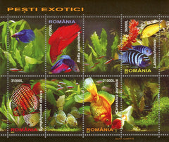 #4714a Romania - 2005 Fish S/S (MNH)