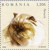 #4778-4783 Romania - Cats (MNH)