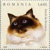 #4778-4783 Romania - Cats (MNH)