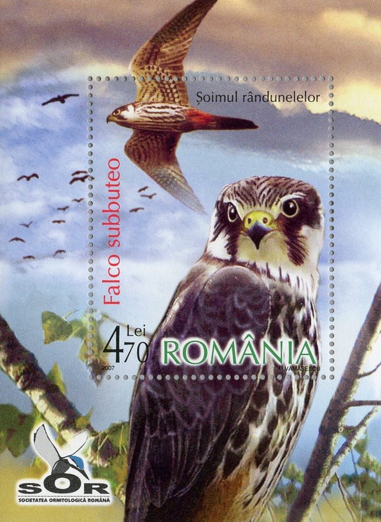 #4940 Romania - Birds of Prey S/S (MNH)