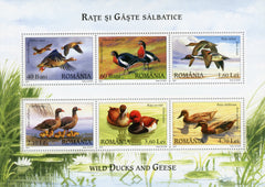 #4973a Romania - Geese and Ducks M/S (MNH)