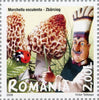 #5012-5017 Romania - Edible and Poisonous Mushrooms, Set of 6 (MNH)