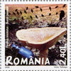 #5012-5017 Romania - Edible and Poisonous Mushrooms, Set of 6 (MNH)