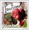 #5012-5017 Romania - Edible and Poisonous Mushrooms, Set of 6 (MNH)