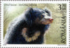 #5034-5038 Romania - Bears, Set of 5 (MNH)