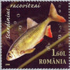 #5081-5083 Romania - Flora and Fauna of Paraul Petea Nature Reserve (MNH)