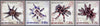 #5153-5156 Romania - Tarantulas (MNH)