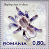 #5153-5156 Romania - Tarantulas (MNH)