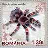 #5153-5156 Romania - Tarantulas (MNH)