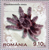 #5153-5156 Romania - Tarantulas (MNH)