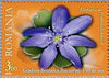 #5191-5195 Romania - Botanical Garden of Bucharest, 150th Anniv. (MNH)