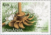 #5220-5223 Romania - Romanian Innovations, Set of 4 (MNH)